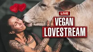 Dating And Relationships For Vegans And Non-vegans (Valentine's Day Lovestream)