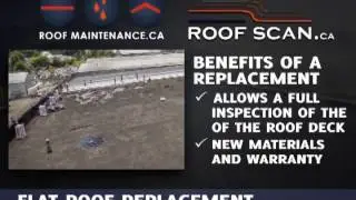 Flat Roof Replacement & Recovery