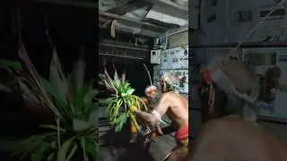 ketika sikerei memasuki alam gaib