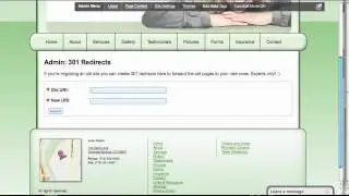 Creating 301 Redirects From Your Old Site