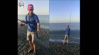 FISH DA RIVA - LECCIA STELLA  - TONNETTO ALLETTERATO
