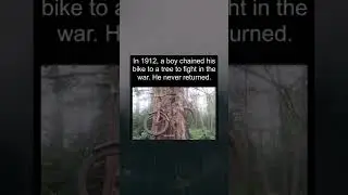 Respect #horror #creepy #scary #war #bike
