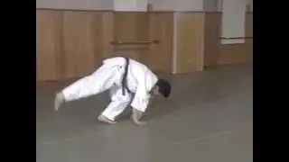 Zenpo Kaiten Ukemi