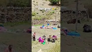 #tinkar migration at stay in Gaga #darchula 🇳🇵