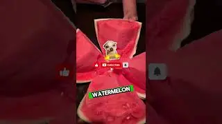 The SMOOTHEST Watermelon Peel Ever Caught on Camera!??