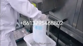Ice cube maker and plastic bag packaging machine