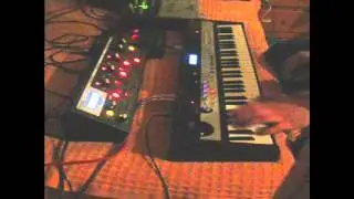MOOG Slim Phatty + Korg Microastation (DnB)