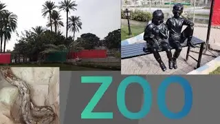 Zoo 360 Multan visit #zoo#animals 