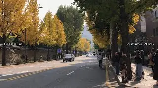 seoul vlog｜秋に行った大満足3泊4日の旅⭐︎