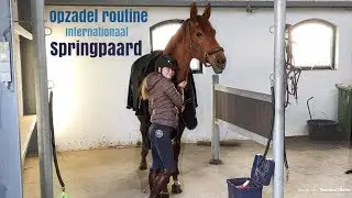 Internationaal springpaard OPZADELEN | Extra video