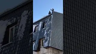 Сыктывкар Лучшая работа в Мире #сыктывкар #коми