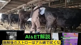 冬場に注意したいAI＆ETの手技解説