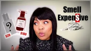 CHEAP Perfumes That Smell EXPENSIVE