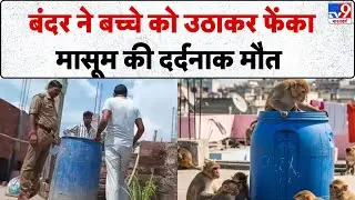 Sitapur Monkey Attack: बंदर ने बच्चे को उठाकर फेंका, मासूम की दर्दनाक मौत- Tv9 | UP News