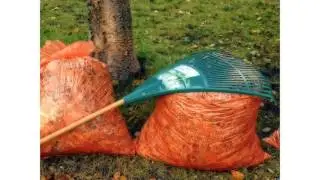 On demand mobile app for: Car Wash Service - Snow Removal - Leaf Removal - Lawn Care