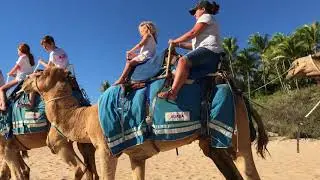 Cable Beach Camel Safari
