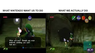 what nintendo wants us to do vs what we actually do | Romhack/Mod