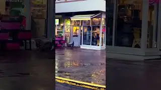 Peacocks Storm a Victoria Caf&eacute; &ndash; Espresso Drama in Cook Street Village! #staytranquil