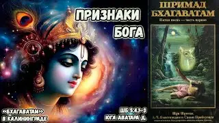 Признаки Бога. Юга Аватара д. ШБ.5.4.1&ndash;3