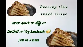 Easy Veg Sandwich | Quick Snack Recipe | Shreedevam Vlogs