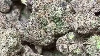 Buy Wholesale cbd flower - 1 pound of hemp flower for sale