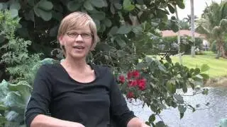 Hummingbirds : How Do Hummingbirds Migrate?