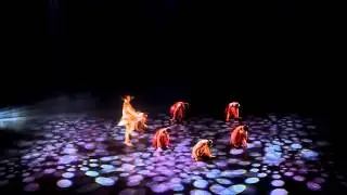 Morning Light by NUS Dance Synergy