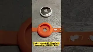 Protect your cat with this AirTag Collar! Amazon link in description! #cat #cats #catsafety