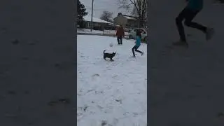 This  a sad video because  we dont have this dog anymore