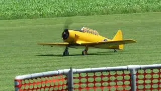 Giant Scale AT6 Texan