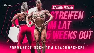 Streifen im Lat - Form 5 weeks out