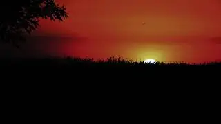 Get Rid of Hives 'Urticaria' | 15 Min Pure Isochronic Binaural Beats - Rife Healing Frequency