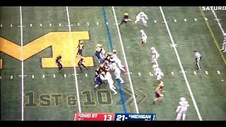Flea Flicker 💥