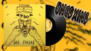 Unboxing Disco de Vinilo Los Piojos - 3er Arco