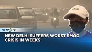 Toxic Smog Blankets New Delhi, Air Quality Reaches Hazardous Levels