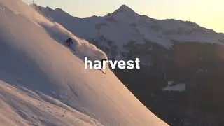 Harvest: Turning Avalanches Into Skis