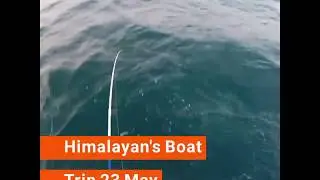 Fishing in  Qatar with Himalayan Anglers