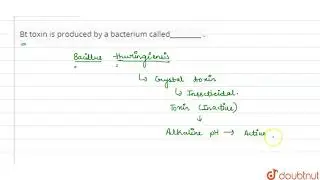 Bt toxin is produced by a bacterium called_________ .