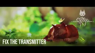 The Rooftop  Fix Transmitter