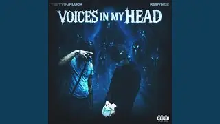 Voices in my head (feat. KsBvndz)