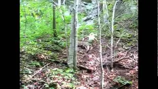 VSS Field Research