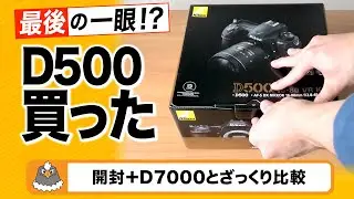 最後の一眼！？D500を購入した話【Nikon D500 開封】