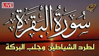 سورة البقرة كامله بصوت جميل استمع لتحصين بيتك ولجلب الرزق والشفاء العاجل بأذن الله