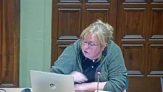 Ple Municipal del 31 de març de 2025