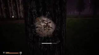 Mist Survival | Samen | Schau ma mal | 22