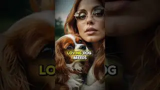 The Most Loving Dog Breeds: Discover Canine Affection