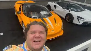 Jungle man safari journeys tech innovation Green McLaren Ford Corvette bromeliads Naples FL 16622