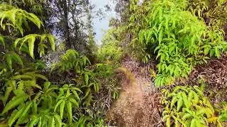 Kaumana Historic Trail, on the Big Island of Hawaii