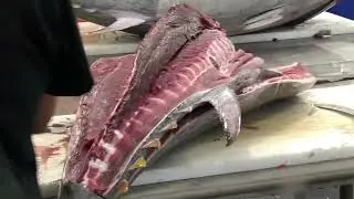 Fishermans Processing