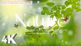 Serene Piano Music in 4K Soothing Sounds Aerial Nature Drone Flight